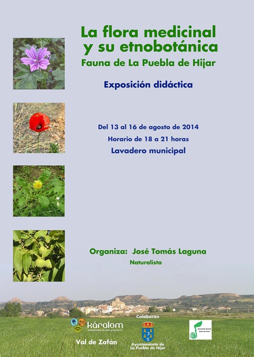 La flora medicinal_Cartel de Pepe 2014_Rev 1